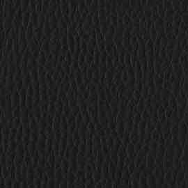 13 - Negro