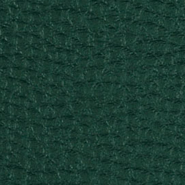 14 - Verde Botella