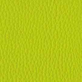 19 - Pistacho