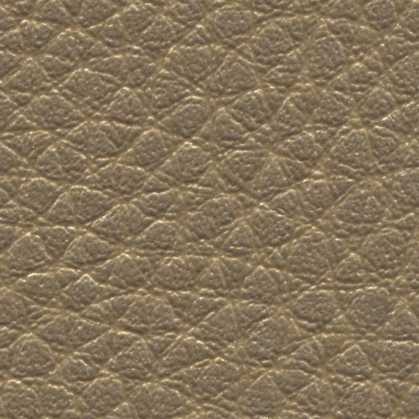 05 - Oro
