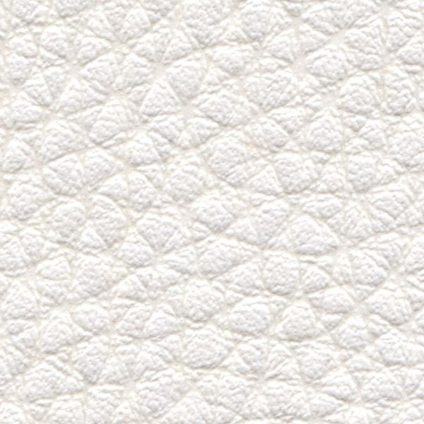 06 - Blanco