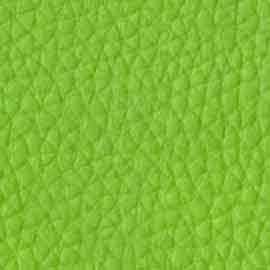 08 - Pistacho