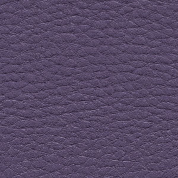 14 - Morado